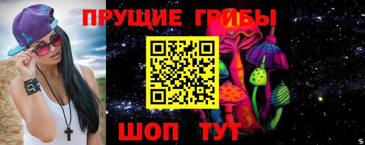Псилоцибиновые грибы GOLDEN TEACHER  купить наркотики цена  Краснокаменск  Вход с VPN 